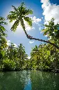 unsplash_Za4po7o-DFU_Philippines.webp.jpg.jpg.jpg