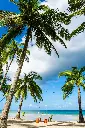 unsplash_zZMNoFIwU_k_Philippines.webp.jpg.jpg.jpg.jpg