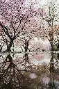 unsplash_Lm5rkxzgiFQ_Japan.webp
