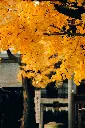 unsplash_OnSRBSlWpcc_Japan.webp.jpg