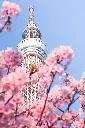 unsplash_XHanhWuJGwE_Japan.webp.jpg.jpg.jpg