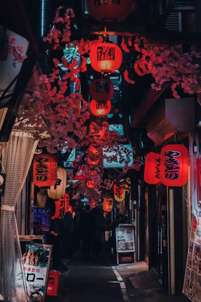 unsplash_iYjerlfwBhA_Japan.webp.jpg.jpg.jpg.jpg