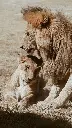 unsplash_OkYjLpB2gzA_Statue of Unity.webp.jpg.jpg