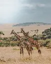 unsplash_pU-9BYqjhyo_Kenya.webp.jpg