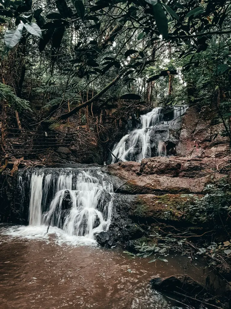 unsplash_jX3xrKr5m6U_Kenya.webp.jpg.jpg.jpg