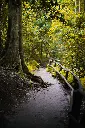 unsplash_LLG12OKmR_c_Kenya.webp.jpg.jpg.jpg.jpg