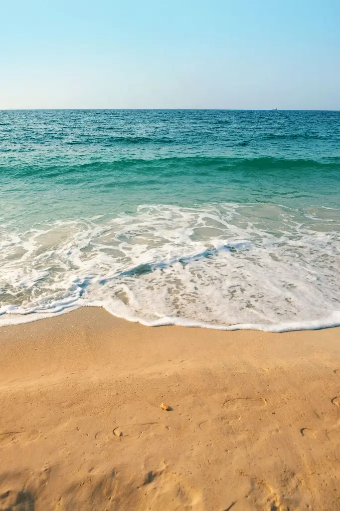 unsplash_g0Qdolm3K14_Lingaraj.webp.jpg.jpg.jpg.jpg