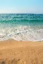 unsplash_g0Qdolm3K14_Lingaraj.webp.jpg.jpg.jpg.jpg