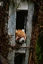 unsplash_AXDwcRih69k_Padmaja Naidu.webp