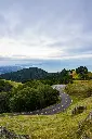 unsplash_n4jLGbNfFrE_Padmaja Naidu.webp.jpg.jpg