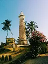 unsplash_CtZ5wzqo-ss_Sri Lanka.webp.jpg.jpg.jpg