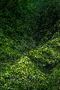 unsplash_sgTFRVQzX1I_green valley.webp