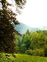 unsplash_HuA6j9oClH0_SINAIA .webp