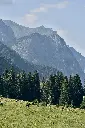 unsplash_1yXyNyHu9N4_SINAIA .webp.jpg.jpg