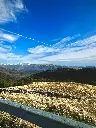 unsplash_Au-31gMaFxM_SINAIA .webp.jpg.jpg.jpg