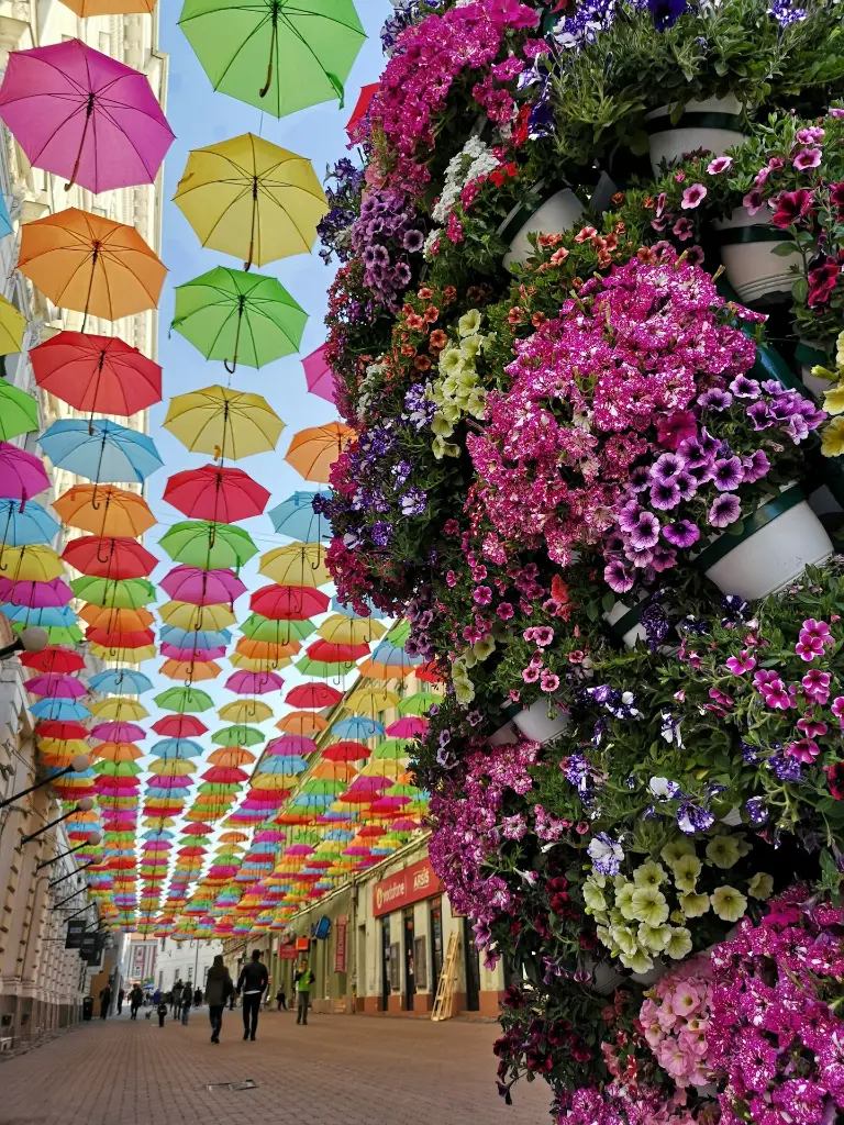 unsplash_jKR094-CKfI_Romania.webp.jpg.jpg
