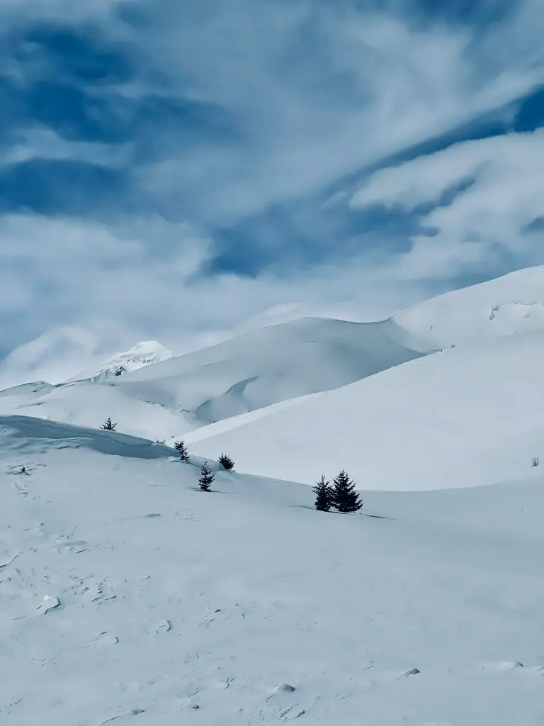 unsplash_jN3BY8VkPgY_Europe.webp.jpg.jpg.jpg.jpg.jpg.jpg