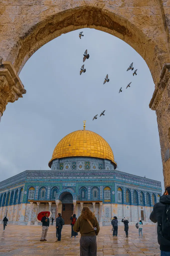 unsplash_O_ekvDJG7kY_HAIFA.webp.jpg.jpg.jpg