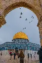 unsplash_O_ekvDJG7kY_HAIFA.webp.jpg.jpg.jpg