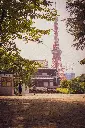 unsplash_q-bQB5R0ieI_ Zojoji.webp