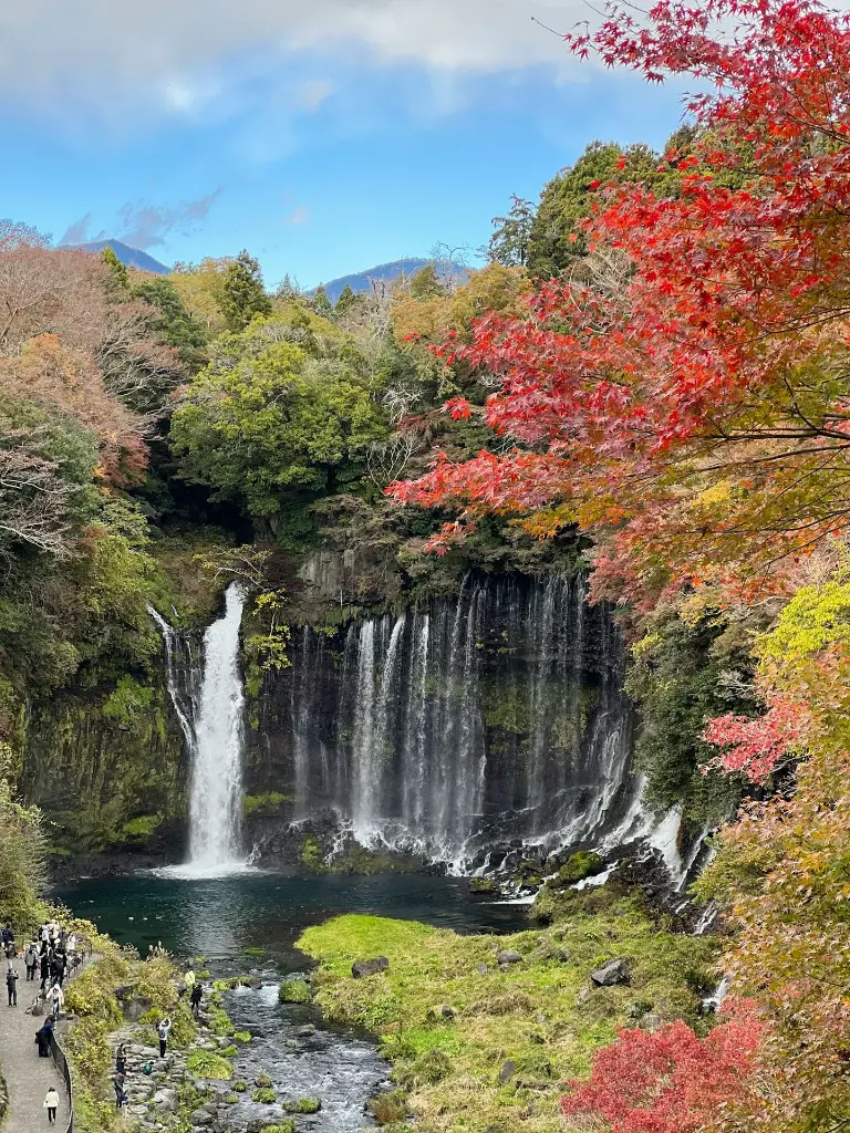 unsplash_ceo65SX42sQ_ Zojoji.webp.jpg.jpg.jpg