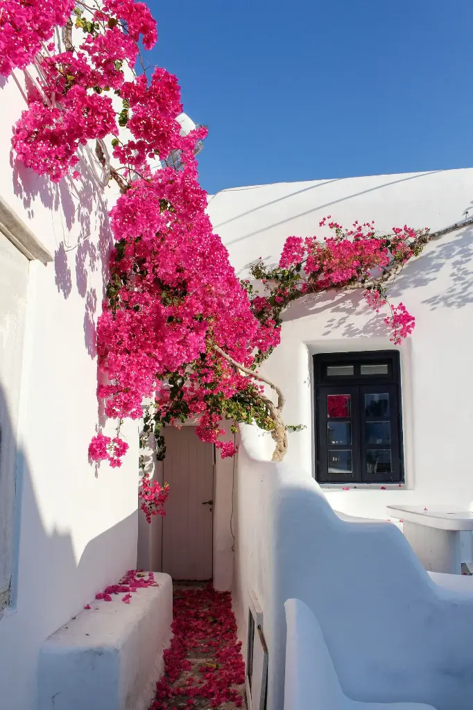 unsplash_vLFqqjjxw80_Greece.webp.jpg.jpg.jpg