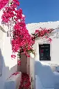 unsplash_vLFqqjjxw80_Greece.webp.jpg.jpg.jpg