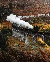 unsplash_v-IkXXcQ0Eo_Scotland.webp