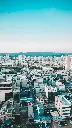 unsplash_lKY3K50ubtk_Nijubashi Bridge.webp.jpg.jpg.jpg.jpg.jpg.jpg.jpg.jpg