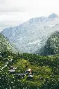 unsplash_AJWLydDjU1E_NORWAY .webp.jpg.jpg