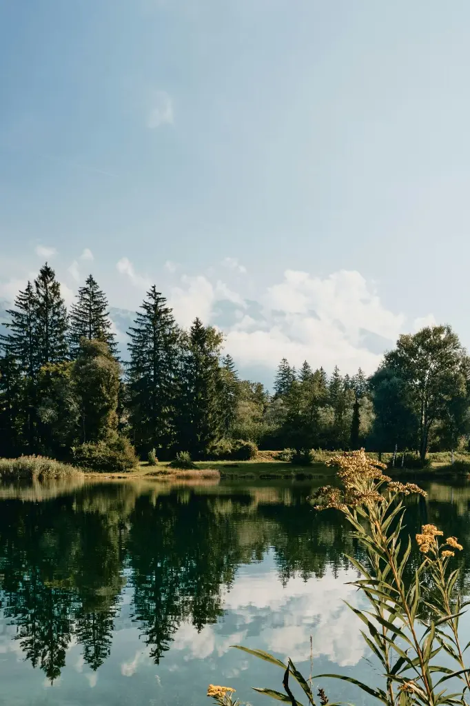 unsplash_p46RaLcxywI_Austria.webp