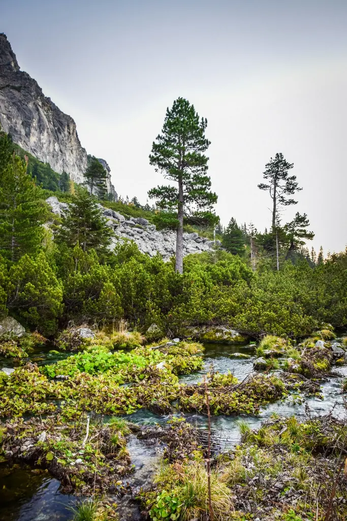 unsplash_LzdU-3QCubs_SLOVAKIA.webp.jpg.jpg.jpg.jpg.jpg