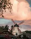 unsplash_QHjuBIzgtvY_LOS ANGELES.webp.jpg