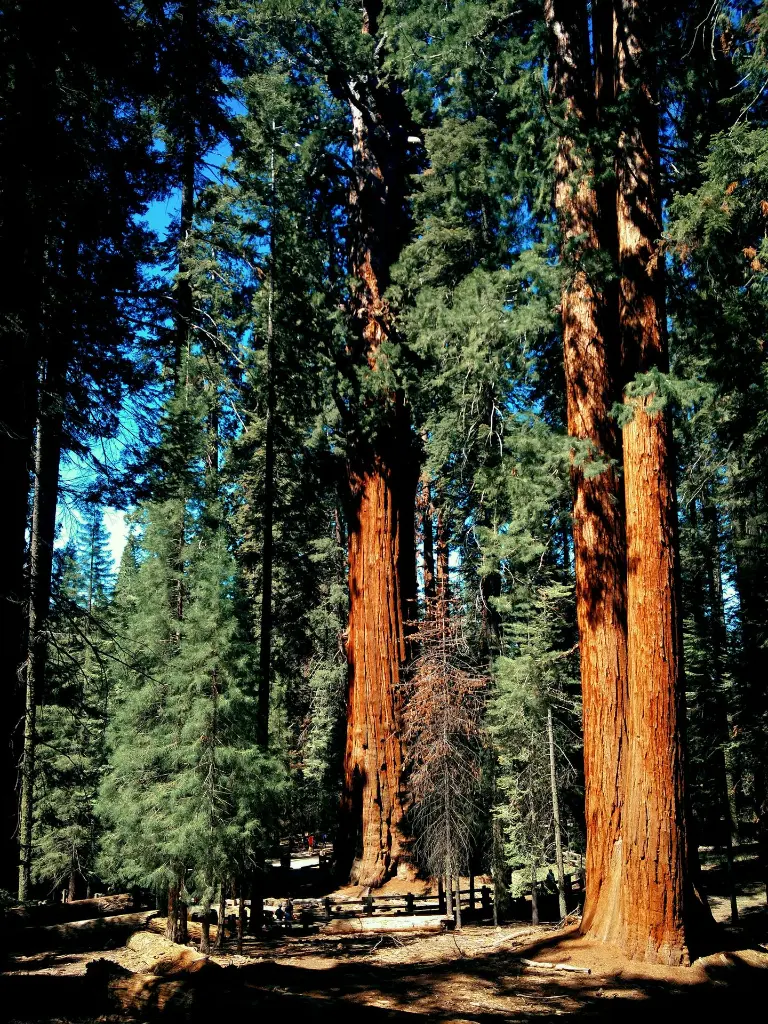 unsplash_8wbcwXz8P18_LOS ANGELES.webp.jpg.jpg.jpg