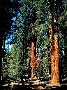 unsplash_8wbcwXz8P18_LOS ANGELES.webp.jpg.jpg.jpg