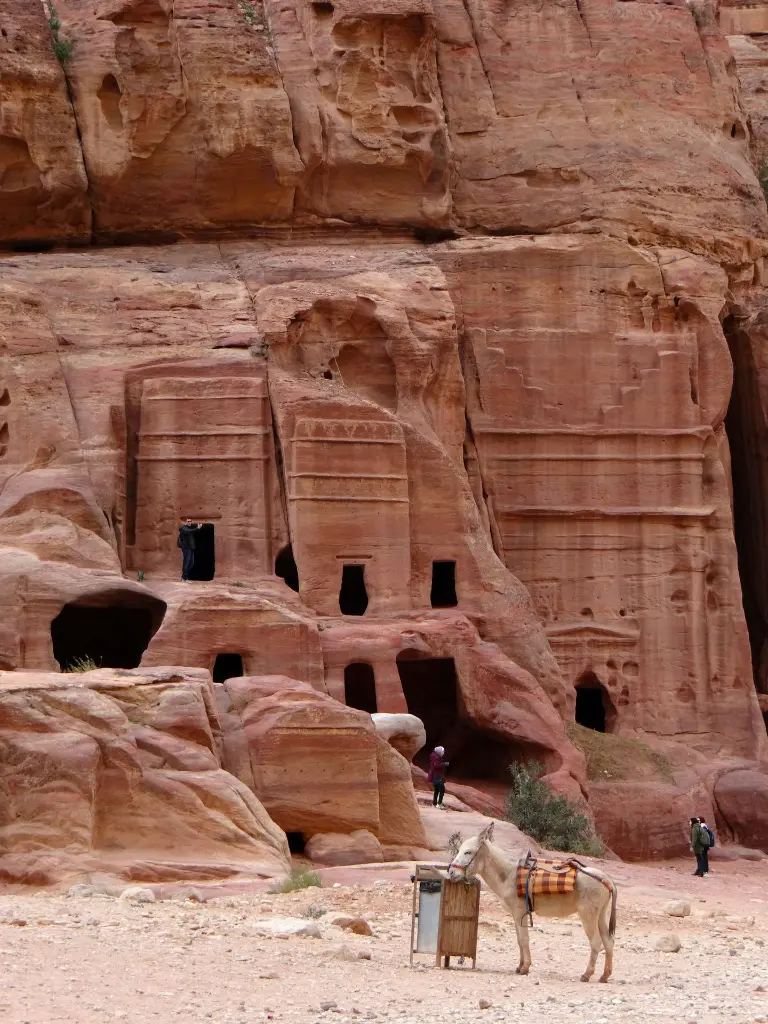unsplash_ucGxk8JLmWw_ISRAEL.webp.jpg.jpg.jpg.jpg.jpg