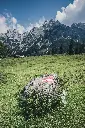 unsplash_RVyc3Zzhpt8_Austria.webp