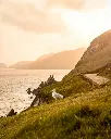 unsplash_giUeBnfxPow_Ireland.webp.jpg.jpg.jpg