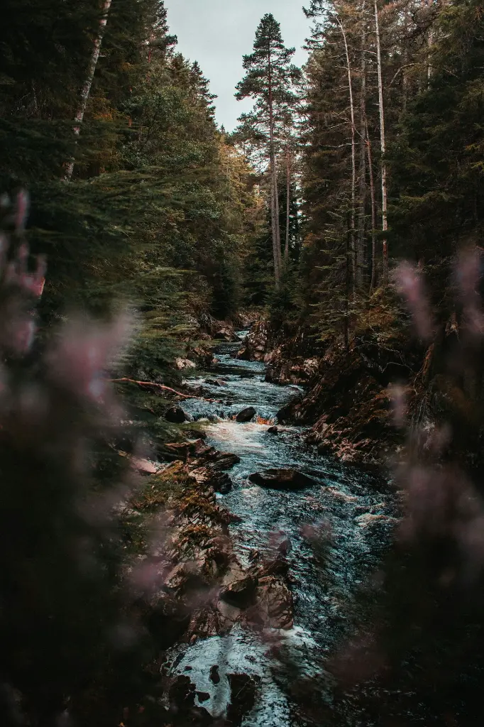 unsplash_DWS8sowFlpg_Scotland.webp.jpg.jpg