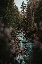 unsplash_DWS8sowFlpg_Scotland.webp.jpg.jpg