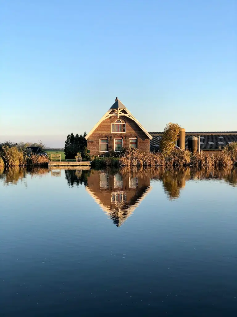 unsplash_uES5QjeXul0_NETHERLANDS.webp.jpg
