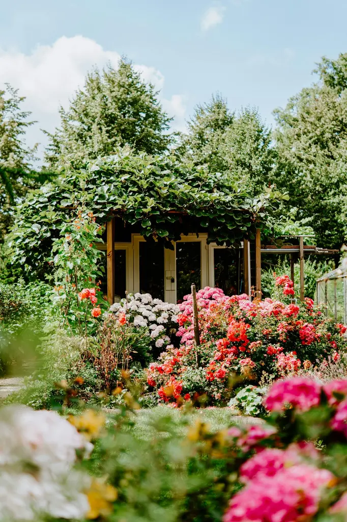 unsplash_3U7SJ2YRDcs_NETHERLANDS.webp.jpg.jpg.jpg