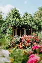 unsplash_3U7SJ2YRDcs_NETHERLANDS.webp.jpg.jpg.jpg