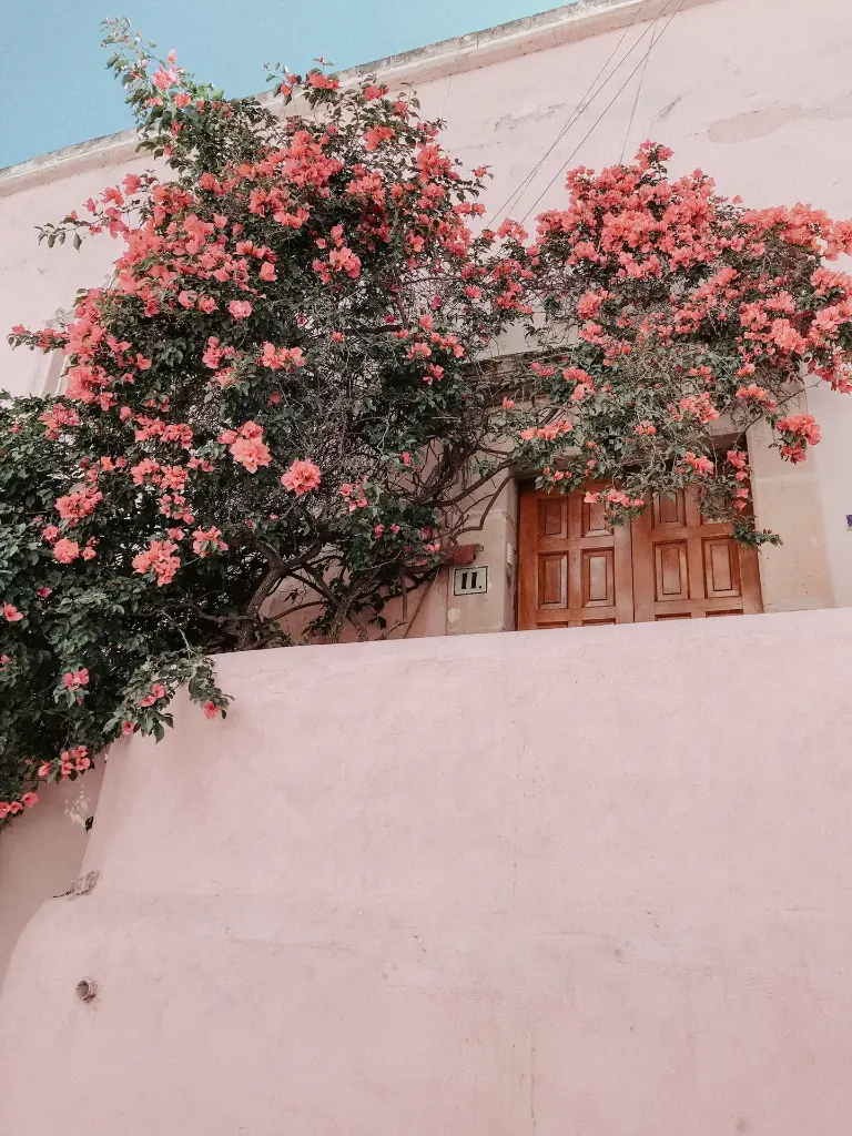 unsplash_CemznzB8dHk_Mexico.webp.jpg