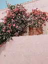 unsplash_CemznzB8dHk_Mexico.webp.jpg
