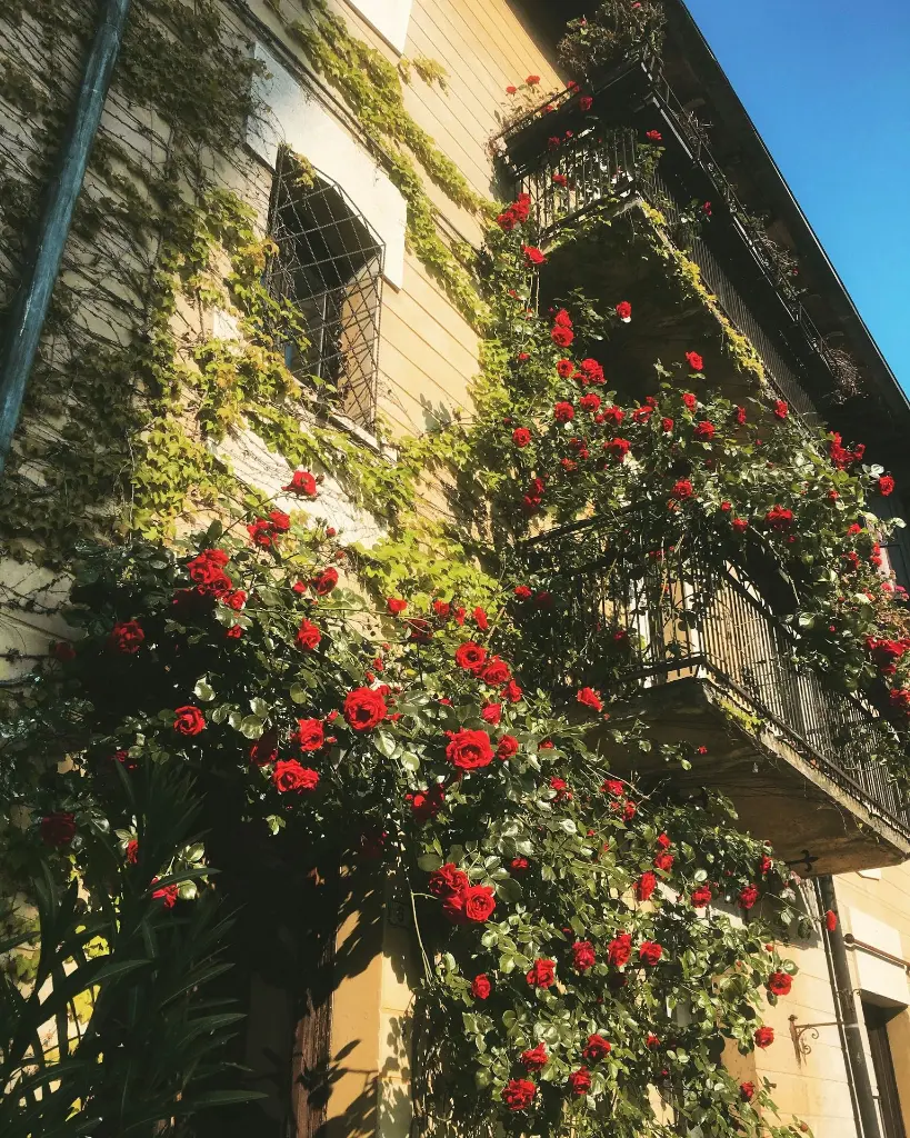 unsplash_GCFLb9Udfsw_Italy.webp.jpg.jpg.jpg.jpg