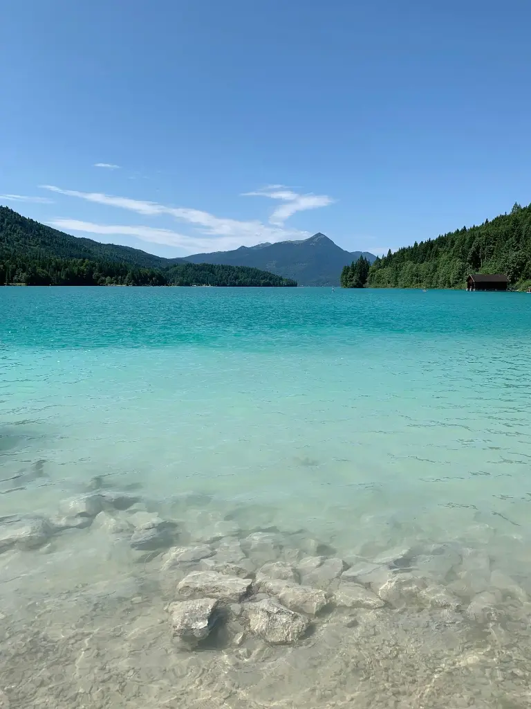 unsplash_vWBx4_eUMBg_Germany.webp.jpg.jpg.jpg.jpg