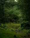 unsplash_F-090HMWOw0_Denmark.webp.jpg.jpg.jpg