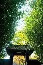 unsplash_dWlZGqDgjWI_SEOUL.webp.jpg.jpg.jpg