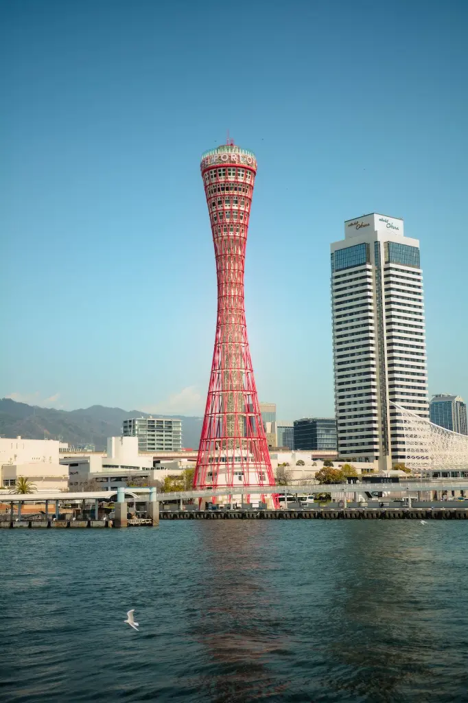 unsplash_Lspi9HIKGZs_SEOUL.webp.jpg.jpg.jpg.jpg.jpg.jpg.jpg.jpg.jpg.jpg